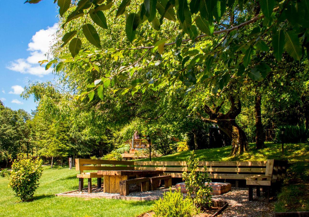 Las Magnolias Lofts Βίλα Puerto Varas Εξωτερικό φωτογραφία